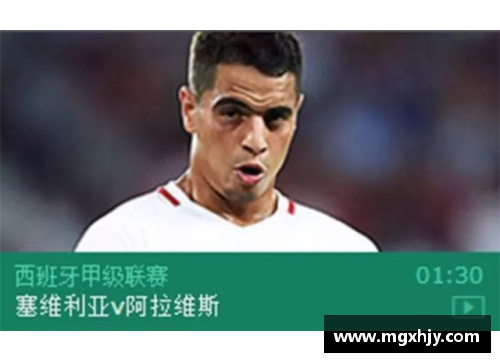 尊龙凯时阿拉维斯新赛季西甲目标：力争跻身欧联杯区，刷新历史最好成绩 - 副本