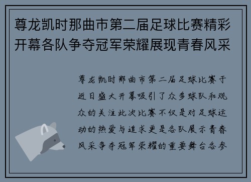 尊龙凯时那曲市第二届足球比赛精彩开幕各队争夺冠军荣耀展现青春风采