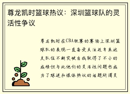 尊龙凯时篮球热议：深圳篮球队的灵活性争议