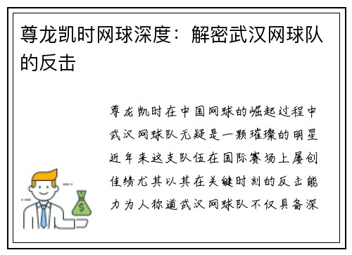 尊龙凯时网球深度：解密武汉网球队的反击
