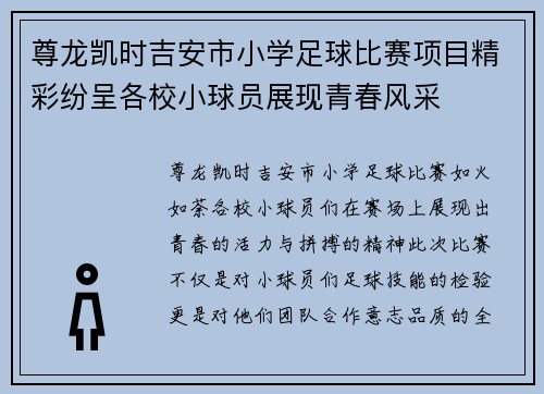 尊龙凯时吉安市小学足球比赛项目精彩纷呈各校小球员展现青春风采