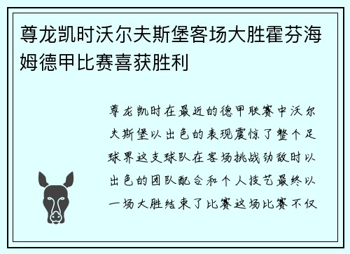 尊龙凯时沃尔夫斯堡客场大胜霍芬海姆德甲比赛喜获胜利