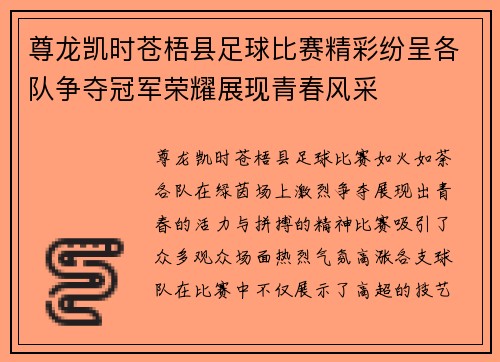 尊龙凯时苍梧县足球比赛精彩纷呈各队争夺冠军荣耀展现青春风采