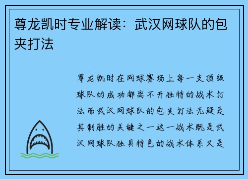 尊龙凯时专业解读：武汉网球队的包夹打法