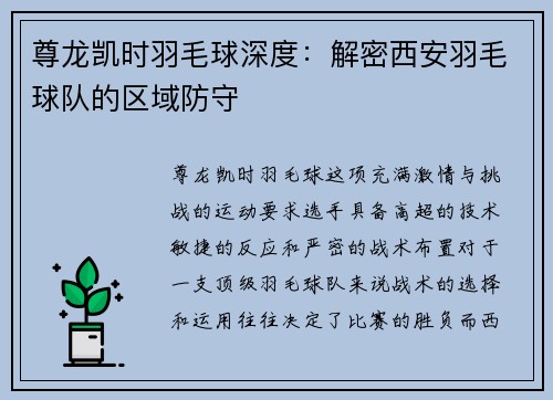 尊龙凯时羽毛球深度：解密西安羽毛球队的区域防守