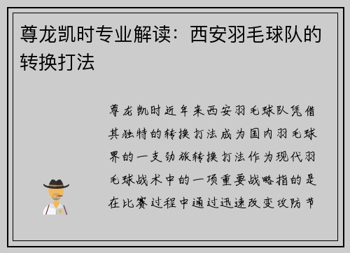 尊龙凯时专业解读：西安羽毛球队的转换打法